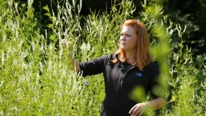 UW-Eau Claire biology major Allison Ban-Herr helped locate and identify invasive plant species as an intern with Beaver Creek Reserve in rural Fall Creek.