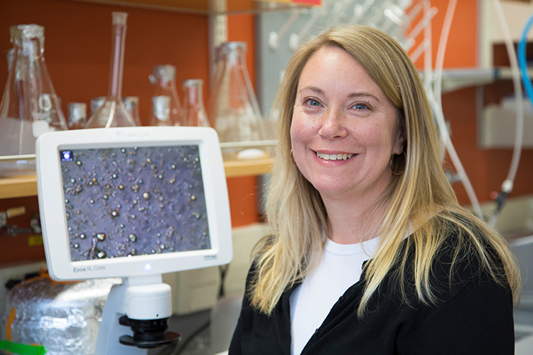 Photo of Rebecca Klaper, an aquatic toxicologist at UW-Milwaukee’s School of Freshwater Sciences, is looking for ways to change the chemistry of nanoparticles in order to reduce their harm to aquatic creatures. (UWM Photo/Pete Amland)