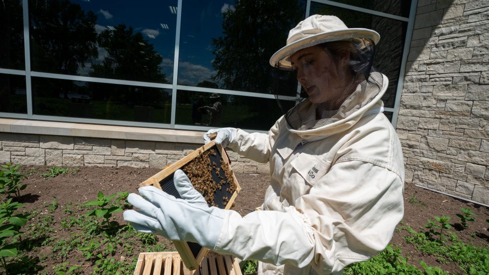 Photo of UW Oshkosh student Mariah Parkin with colonies of honey bees, valued pollinators that are now thriving behind the University of Wisconsin Oshkosh, enhancing the university's sustainability efforts.