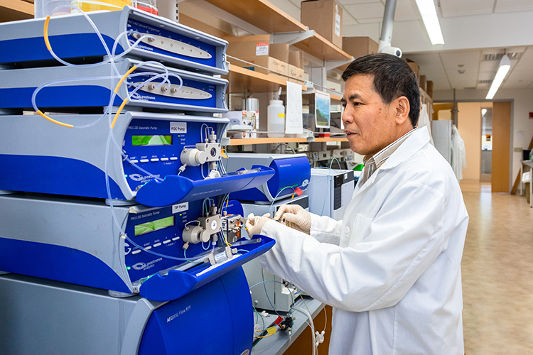 Photo of Laodong Guo, professor of freshwater sciences, investigating the molecular structures of microplastics to determine how small they ultimately become in waterways. (UWM Photo/Elora Hennessey)