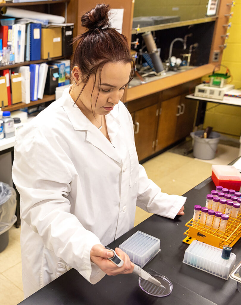 Photo of food science major Caitlyn Lisota working in a Heritage Hall lab on E. coli test kits, part of her research presented at the state Capitol.