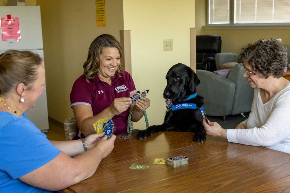 Photo of Rossi, who can help someone play a game of cards.