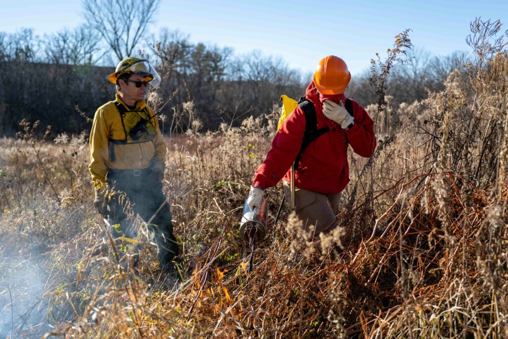 Photo of research work: Part of the Freshwater Collaborative funding supported training in the use of prescribed fire for prairie restoration projects, led by a member of The Prairie Enthusiasts.