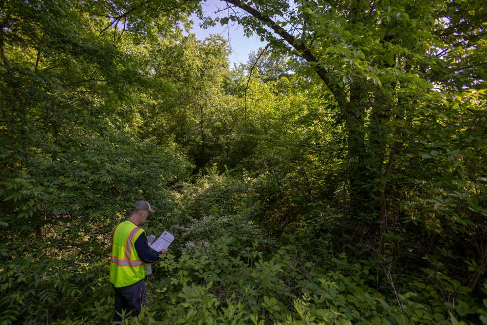 Photo of Kelly: Each semester, Kelly weaves lessons from his volunteer work into his teaching, illustrating how the Driftless Region is both ecologically unique and shaped by global challenges such as habitat loss and water quality.