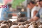 potatoes with UW-Madison logo