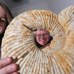 UW-Whitewater senior and Goldwater Scholar Melanie Sorman, left, and her faculty adviser, Associate Professor Rex Hanger are shown with a 120 million-year-old ammonite fossil in a geology lab at UW-Whitewater on Tuesday, April 5, 2016. Sorman has been working with a gamma ray spectrometer, which measures natural radioactivity in rocks and tells the oxygen level of ancient oceans. Hanger described the ammonite as an octopus-like creature stuffed into a coiled shell. Photo by Craig Schreiner.