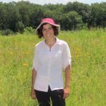 Photo of UW-Madison graduate student Carly Ziter conducting field work in a restored urban prairie in Turville Point Conservation Park in Madison. Photo by Eric Perdersen