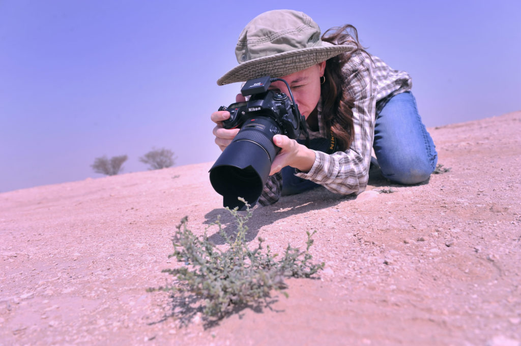 Photo of UW-Green Bay, Marinette Campus Professor Renee Richer, who is conducting research in Qatar which may someday help to prevent diseases like Alzheimer’s and Parkinson’s. 