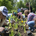 Photo of Katie Knoff helping with the Root-Pike Watershed Initiative Network to improve soil and water quality.