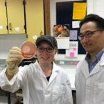 Photo of graduate student Emily Lehmann and Assistant Professor Taejo Kim, who are researching whether some natural cheeses have greater antimicrobial properties against food-borne pathogens like listeria when stored at room temperature.