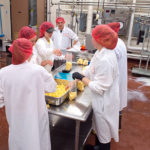 Photo of students packaging freshly made cheese curds in the UWRF Dairy Pilot Plant in 2018.