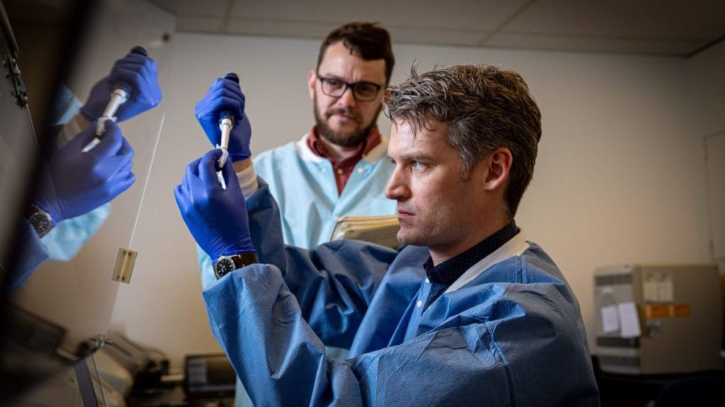 Photo of Peter Thielen, front, working with Tom Mehoke on immediate sequencing of the SARS-CoV-2 genome, the virus that causes COVID-19, at the Johns Hopkins Hospital molecular diagnostics laboratory. Johns Hopkins APL / Ed Whitman