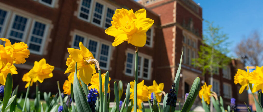 Photo of spring flowers on lower campus of UW-Eau Claire near Schofield Hall.