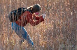 Photo of student Sarah Stein leaning down to photograph some plants at Menomin Park.