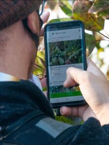 Photo of a student using his smartphone to help with plant identification.