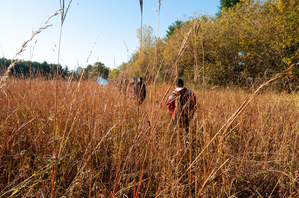 Photo of UW-Stout environmental science students walking through a prairie at Menomin Park near Lake Menomin while doing plant research.