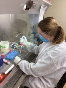 Photo of UW–Madison graduate student Katarina Braun processing samples from COVID-19 patients while sequencing the genome of more than 200 variations on the SARS-CoV2 virus which infected people in Dane and Milwaukee counties in early 2020. COURTESY OF GAGE MORENO