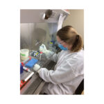 Photo of UW–Madison graduate student Katarina Braun processing samples from COVID-19 patients