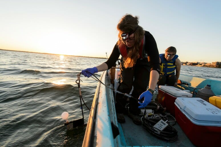 Photo of students collecting data and water samples from Lake Mendota during an early morning outing in 2016 for a limnology experiment. Limnology researchers discovered the spiny water flea in Lake Mendota in 2009. PHOTO: JEFF MILLER