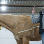 Photo of UW-River Falls Horse Clinic