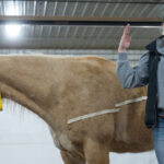 Photo of UW-River Falls Horse Clinic