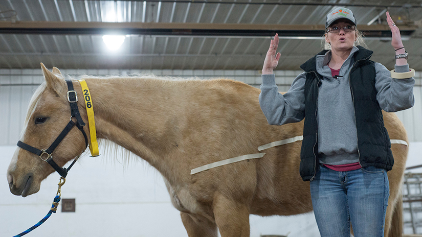 Photo of Professor Casie Bass at a UW-River Falls Horse Clinic