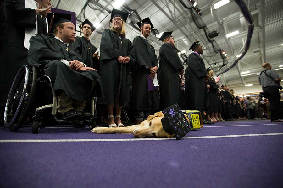 Photo of Victor, the service dog of communication major Elizabeth Fideler, enjoying a nap during commencement, held on Saturday, May 19, 2018.