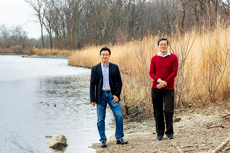 Photo of Qian Liao (left), associate professor of civil engineering, and Changshan Wu, professor of geography, who collaborated on a study of the Milwaukee River watershed to determine whether more beaver dams could reduce urban flooding in some areas. (UWM Photo/Elora Hennessey)