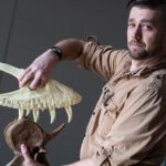 Photo of UW Oshkosh paleontologist Joseph Peterson holding a model of a juvenile T. rex jaw