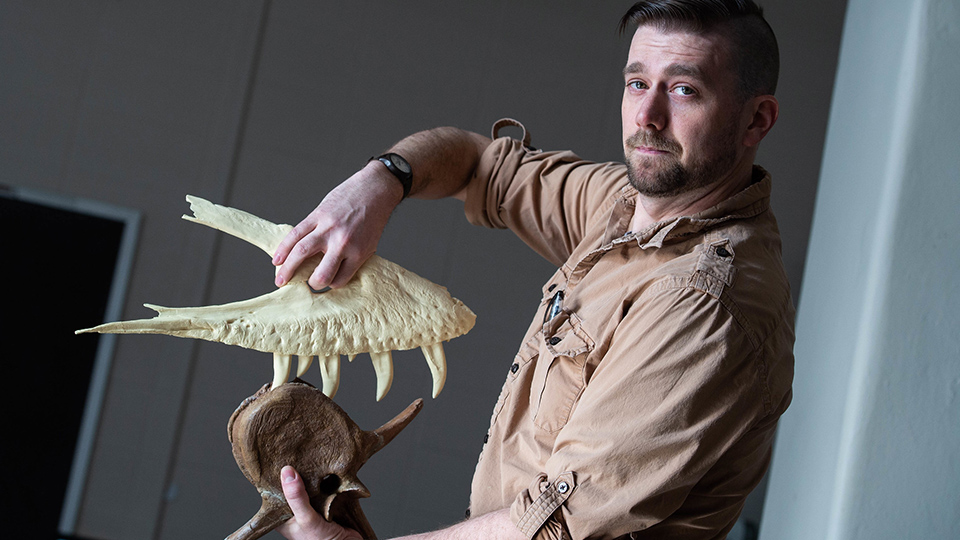 Photo of UW Oshkosh paleontologist Joseph Peterson holding a model of a juvenile T. rex jaw