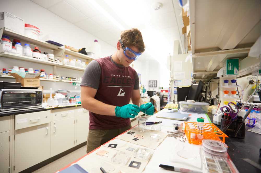 Photo of UWL senior Jason Martin in the lab. Zinc films have a variety of practical applications — from preventing iron and steel from rusting, to converting CO2 into useable fuels, to storing energy via a zinc-based battery.