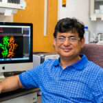 Photo of Madhusudan Dey, associate professor of biological sciences at UWM, shows the atomic structure of the protein he found. The protein plays a role in the process the cell uses to maintain proteostasis – a healthy balance of cellular proteins. (UWM Photo/Elora Hennessey)
