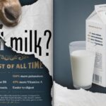 Photo of Daniel Nesja’s GOAT Milk? advertising campaign, which took a silver in the American Advertising Awards. / Contributed photo