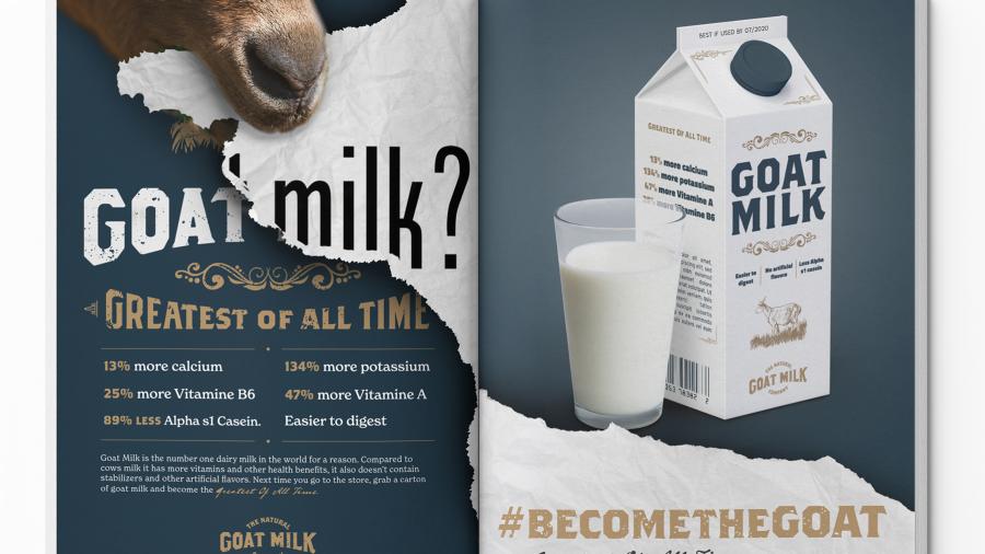 Photo of Daniel Nesja’s GOAT Milk? advertising campaign, which took a silver in the American Advertising Awards. / Contributed photo