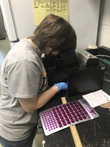 Photo of Amanda Stickney analyzing samples at the ERIC lab.