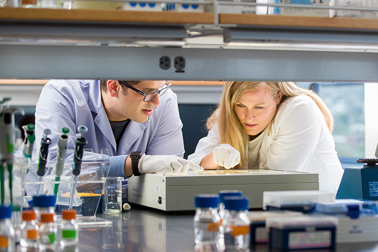 Photo of UW-Milwaukee alumna Sarah Parker working in a lab at Smidt Heart Institute at Cedars Sinai in Los Angeles. (Photo courtesy of Cedars Sinai)