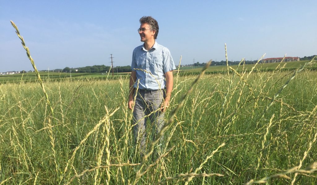 Photo of a UW-Madison researcher standing in a field