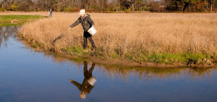 Photo of UW-Green Bay's Natural Areas Ecologist, Bobbie Webster, planting wet meadow plant seeds at the Wequiock Creek Natural Area. UW-Green Bay, Sue Pischke University Photographer