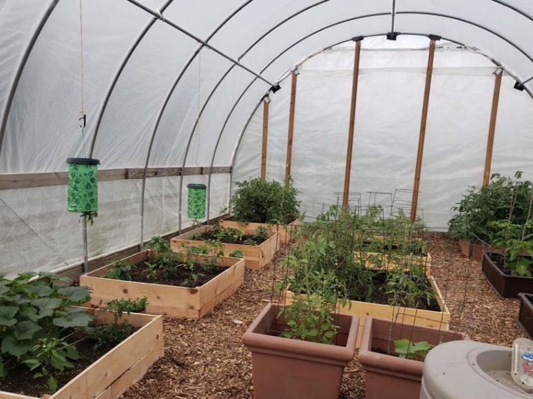 Photo of UW-Parkside garden, which donated produce to local food bank