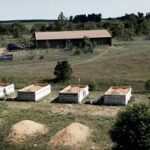 Photo of five compost bins being used in the CWD composting research in Central Wisconsin.