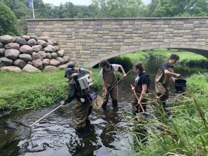 Photo of biology professor Dave Lonzarich electrofishing to catalog fish in Little Niagra Creek. Students (L:R) Owen Wiggen, Gabe Girard, Willow Anderson, Quienten Anger