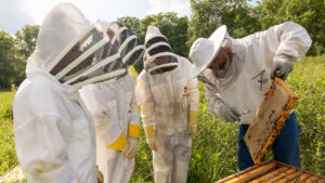 Photo of UW-Platteville Bee Squad