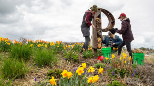 Photo of UW-Platteville Bee Squad