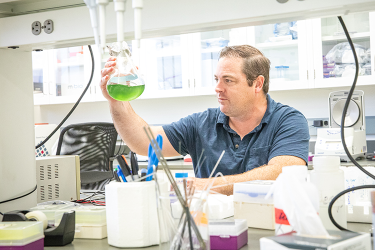 Photo of Todd Miller working with a beaker that contains Nostoc, a cyanobacteria isolated from Lake Superior that produces a novel neurotoxin. (UWM Photo/Troye Fox)