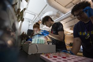 Photo of high school students Maya Dawson, left, Joel Christensen and Zoe Mauk working on a water flea toxicity experiment. (UW-Whitewater photos/Craig Schreiner)