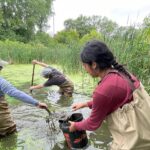 Photo of Senior Lecturer Arthur Kneeland (center, back) with LAKES students Evelyn Dyer (left) and Sahi Chundu scooping soil samples from the riverbed.