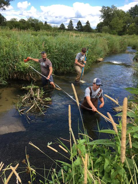 Photo of Keith Gilland, left, Kal Breeden, foreground, and Dylan Kostuch measuring stream width this summer as part of their research. / UW-Stout