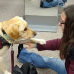 Photo of UW-Superior student Abbey Karnes with her service dog, Darby
