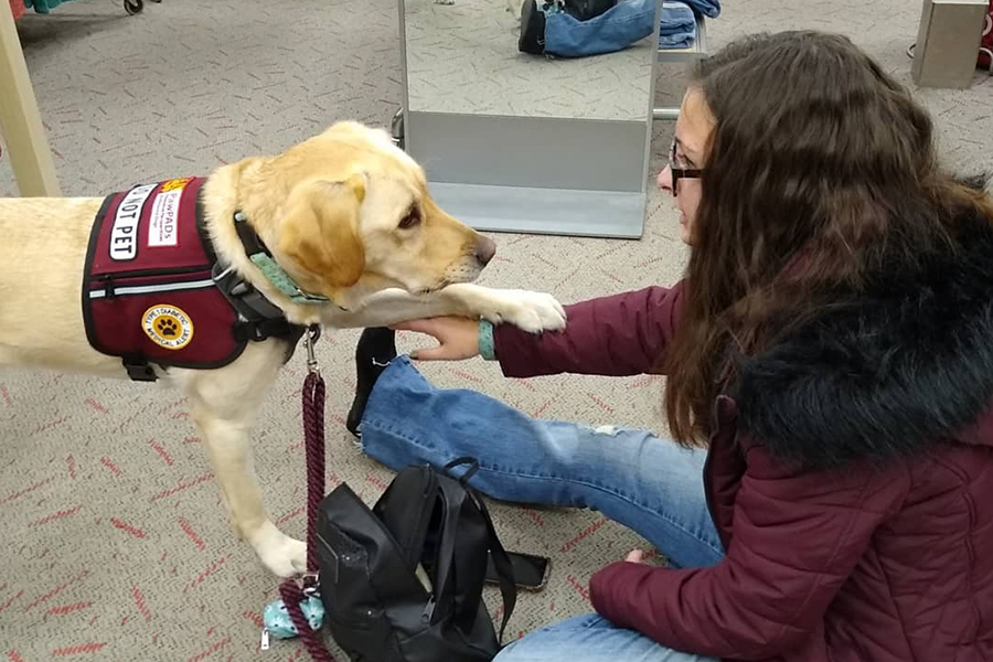 Photo of UW-Superior student Abbey Karnes with her service dog, Darby