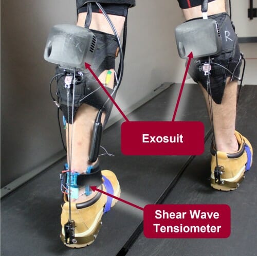 Photo of the researchers’ exosuit and tensiometer, which are completely portable, allowing for testing in real-world settings. ILLUSTRATION BY HARVARD BIODESIGN LAB